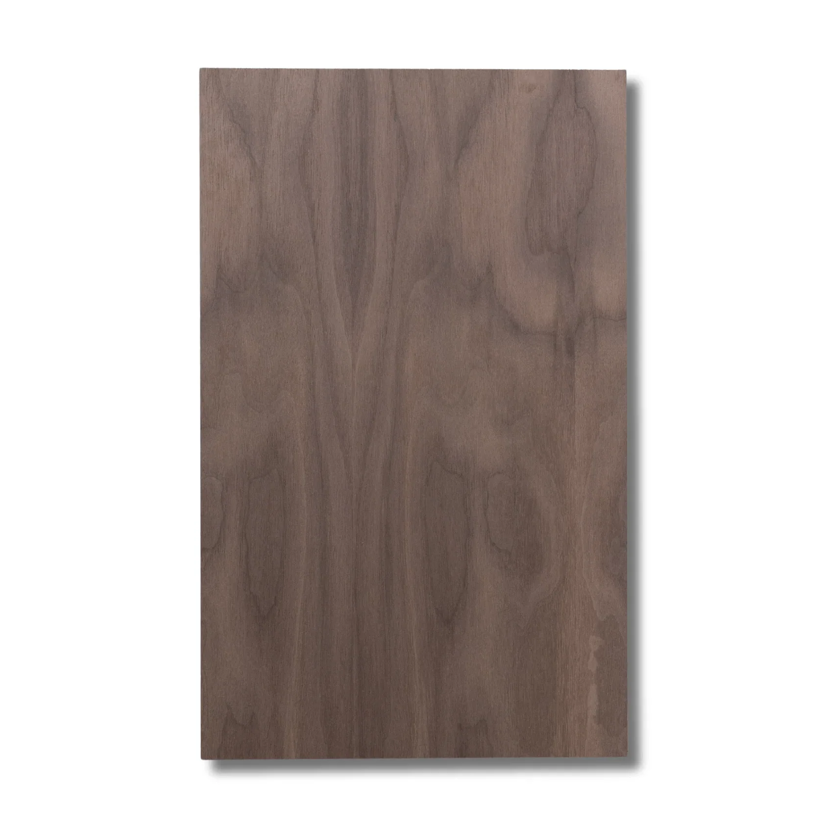 1/4" Walnut Plywood - 12"x19"