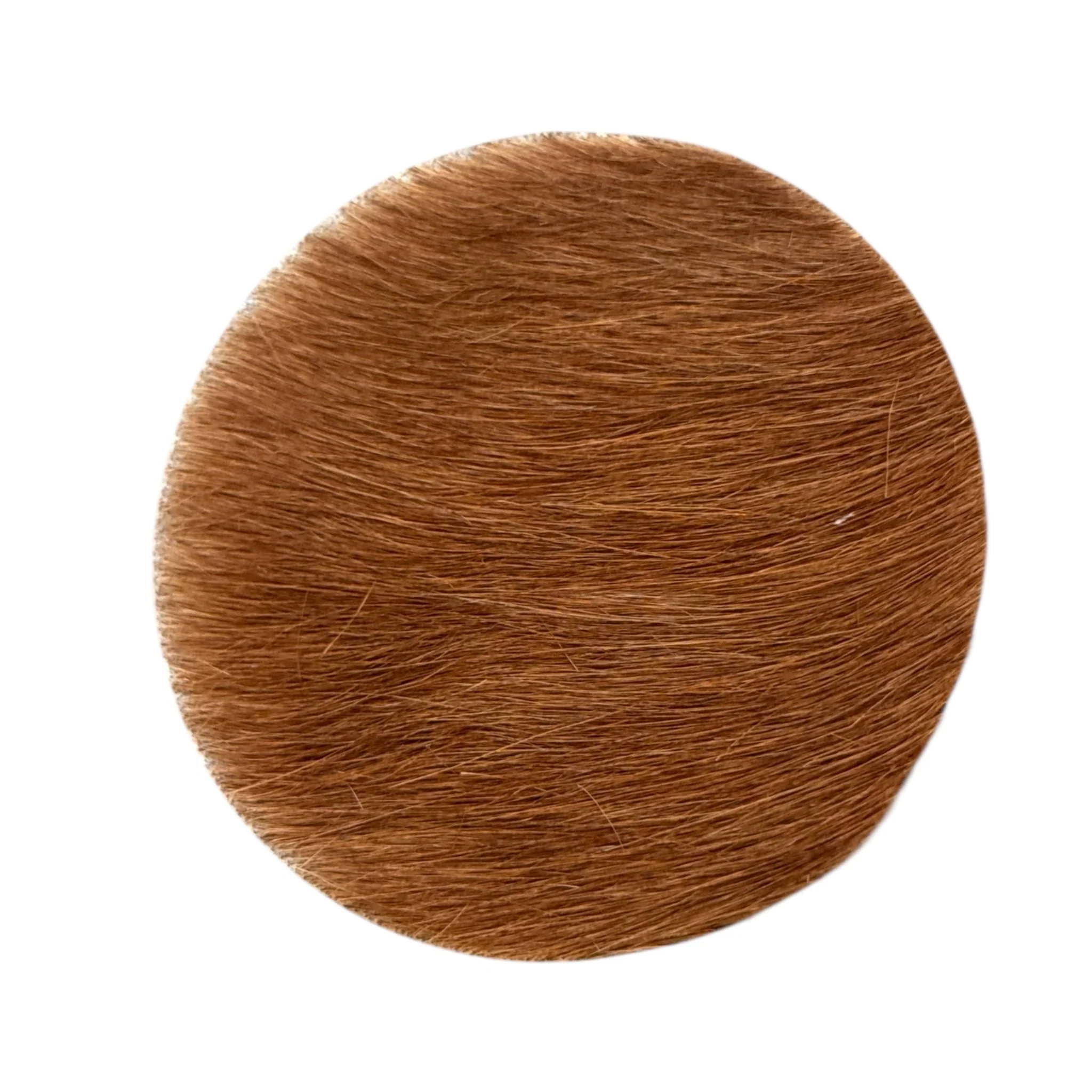 Circle - Image 2