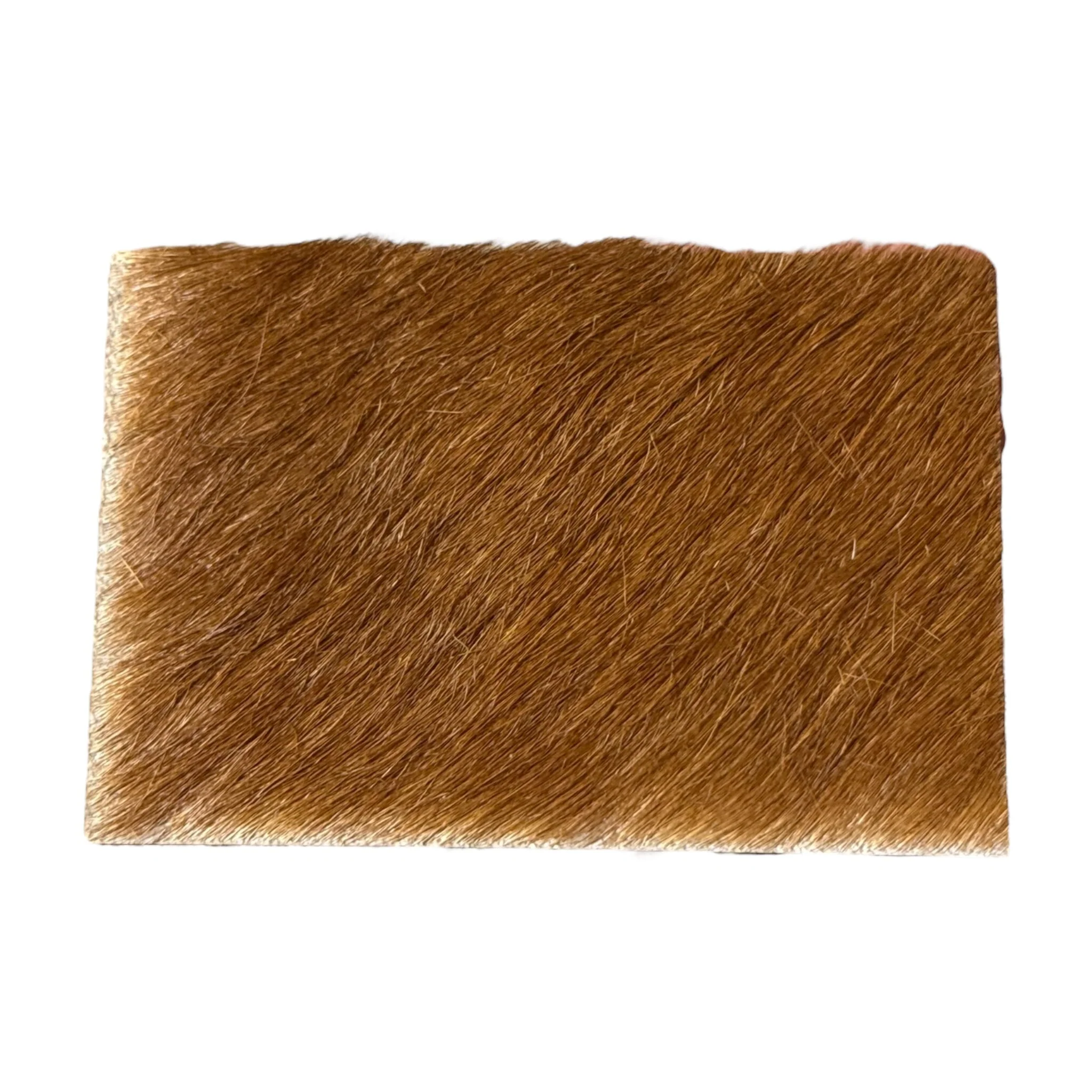 Rectangle