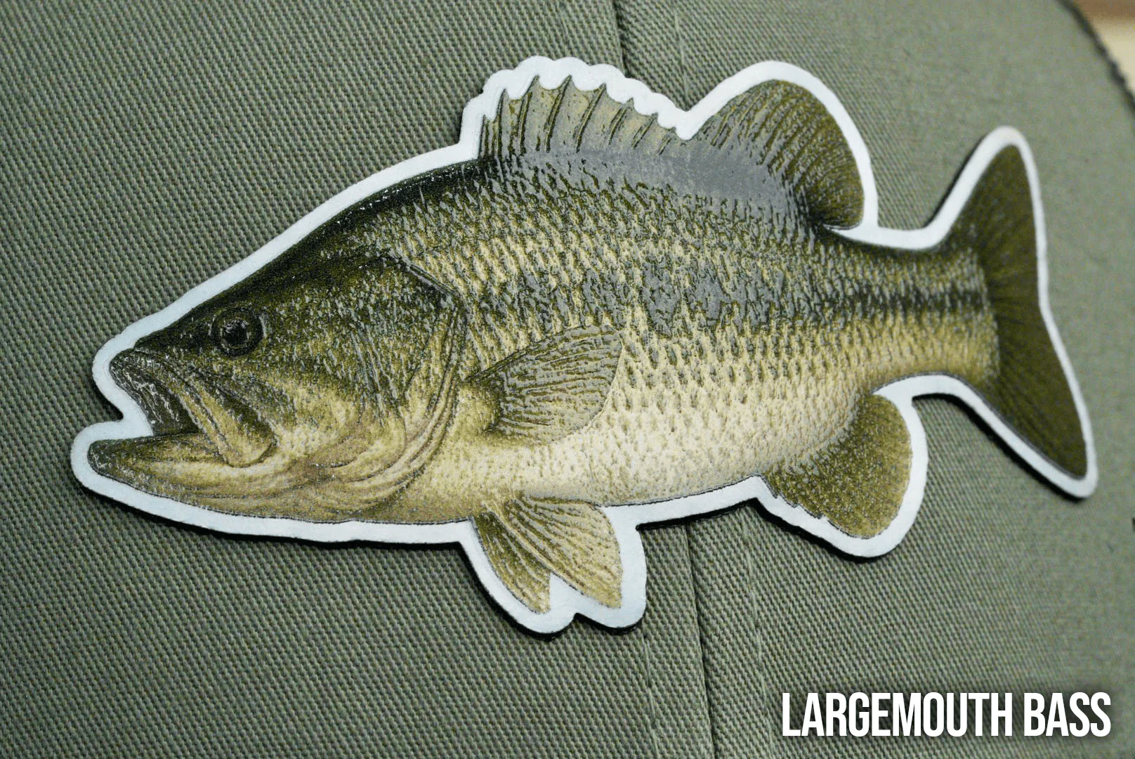 Die Cut UV Printed Texture Build Fish & Animal Patches - Image 22