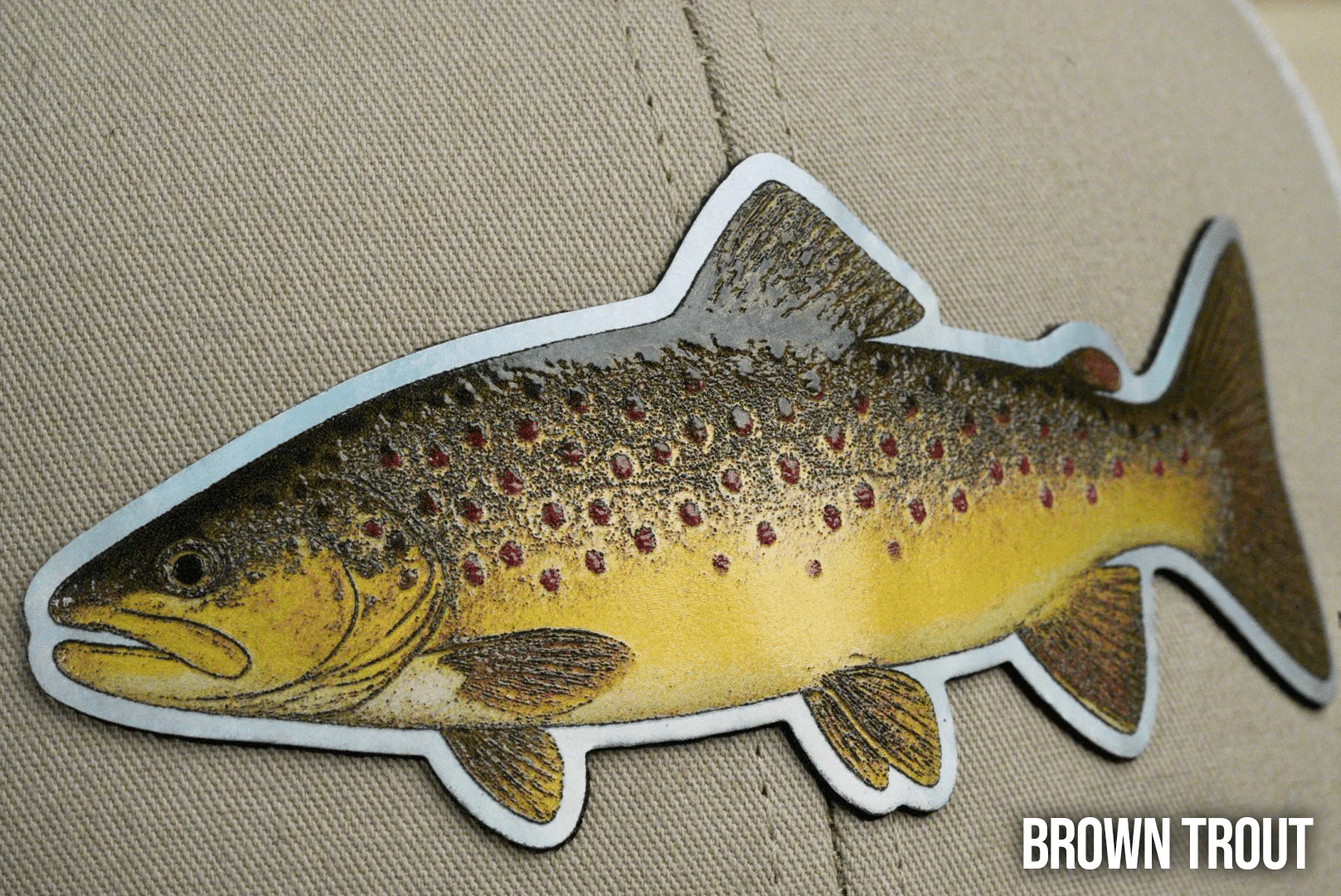 Die Cut UV Printed Texture Build Fish & Animal Patches - Image 24