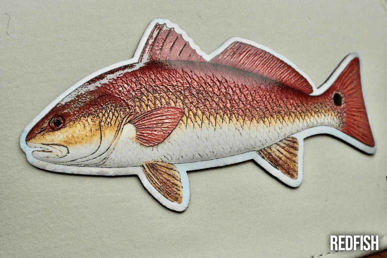 Die Cut UV Printed Texture Build Fish & Animal Patches - Image 32