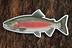 Die Cut UV Printed Texture Build Fish & Animal Patches - Image 45