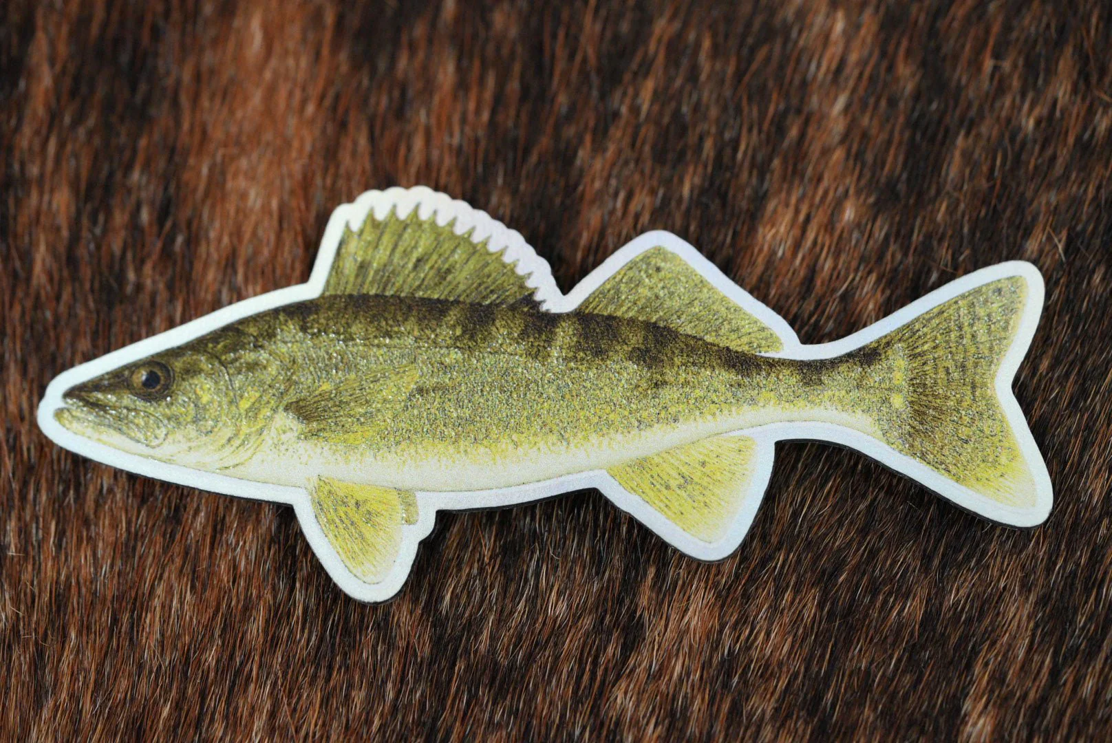 Die Cut UV Printed Texture Build Fish & Animal Patches - Image 52